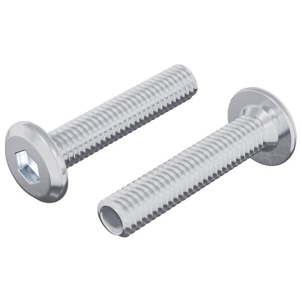 vidaXL Șurub de blocare Simplu 2 pcs Argintiu M6 x 30 mm Oțel