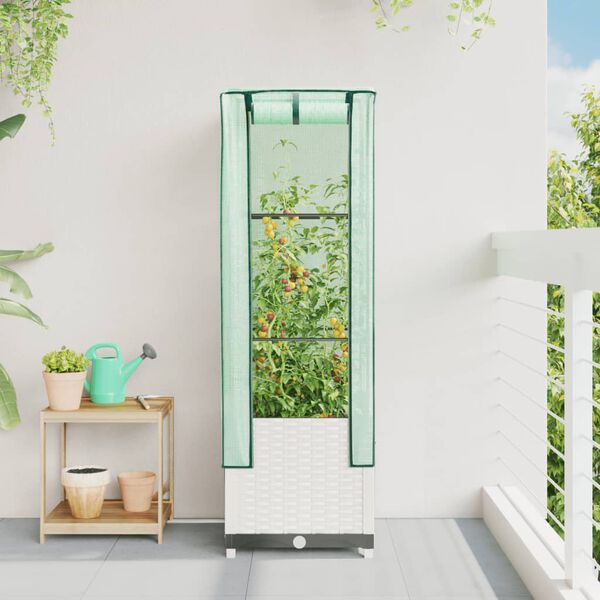 Se afișează imaginea 3 din 9