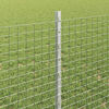 Imagine in miniatură a produsului 4 din 11