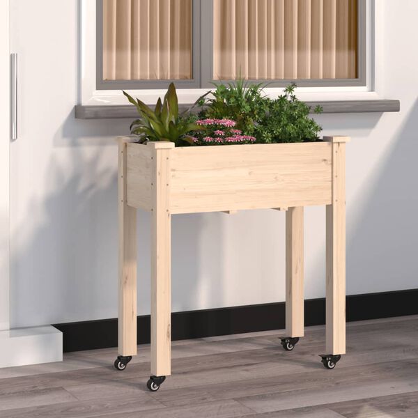 Se afișează imaginea 2 din 8
