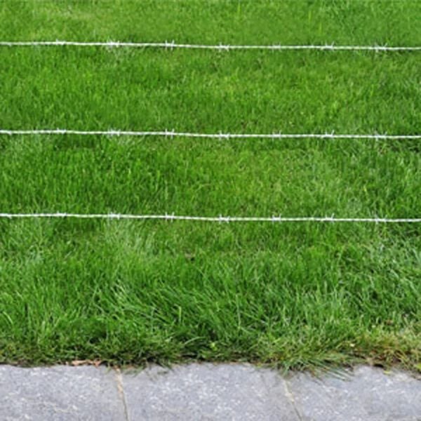 vidaXL Sârmă ghimpată Argintiu 50 m