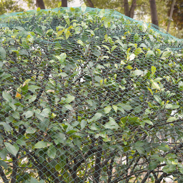 vidaXL Plase de protecție &icirc;mpotriva păsărilor, 5 buc, 4 x 5 m, PE