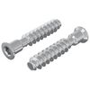 vidaXL Șurub cu capac 2 buc. Argintiu M7 x 40 mm Oțel