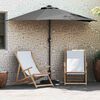 vidaXL Parasol de Grădină Antracit 294 x 150 x 224 cm