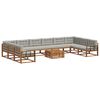 vidaXL Set de canapele de exterior 11 buc. Gri natural și deschis