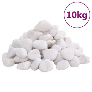 vidaXL Pietricele lustruite, 10 kg, alb, 2-5 cm