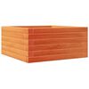 vidaXL Jardinieră de grădină, maro ceruit, 50x50x23 cm, lemn masiv pin