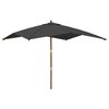 vidaXL Umbrelă de grădină st&acirc;lp din lemn, antracit, 300x300x273 cm