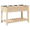 vidaXL Vază pentru Grădină Bej 115 x 59 x 76,5 cm Lemn de Brad Solid