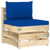 Blue_and_brown