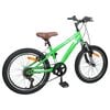 vidaXL Kids Mountain Bike 20 Inci 6-Speed pentru 5-8 ani Verde