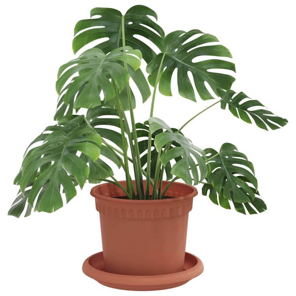 Se afișează imaginea 3 din 12