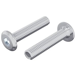 vidaXL Șurub de blocare Simplu 2 pcs Argintiu M6 x 30 mm Oțel