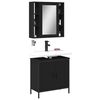 vidaXL Set mobilier de baie, 2 piese, negru, lemn compozit