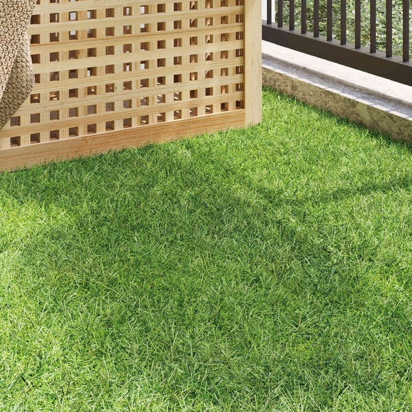 Se afișează imaginea 3 din 10