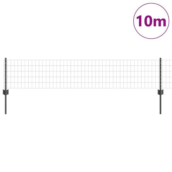 Se afișează imaginea 3 din 13