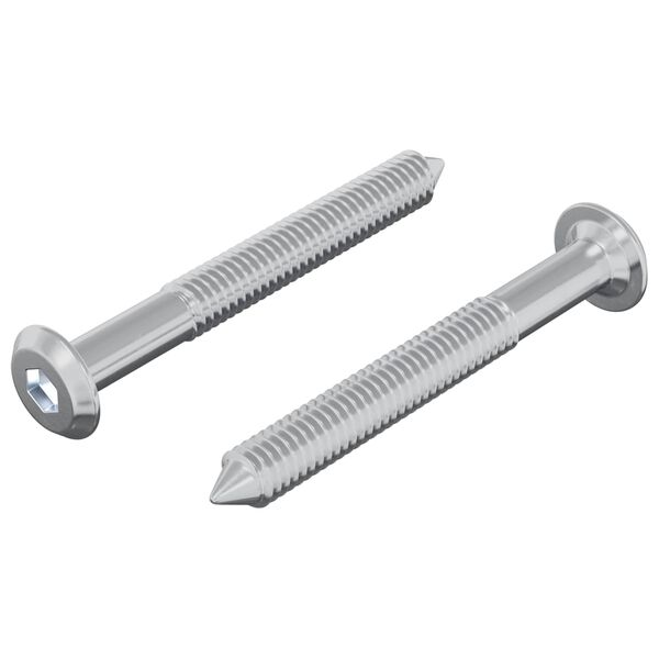 vidaXL Șurub 2 pcs Argintiu M6 x 50 mm Oțel