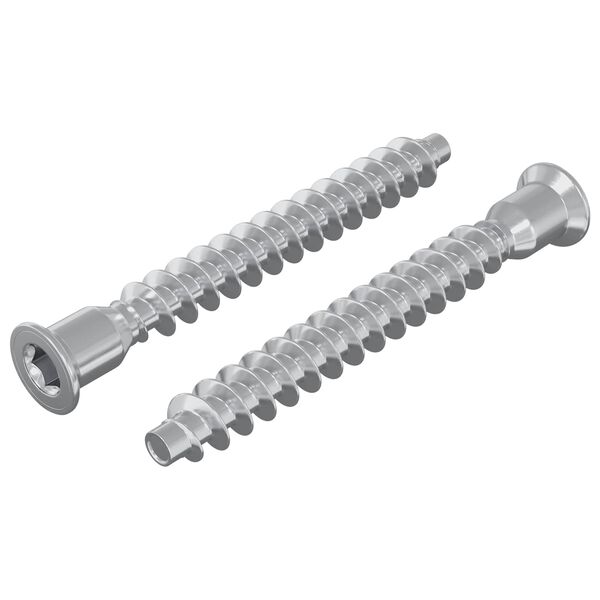 vidaXL Șuruburi confirmat 2 pcs Argintiu &Oslash;7 x 58 mm Metal