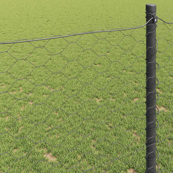 Se afișează imaginea 4 din 9