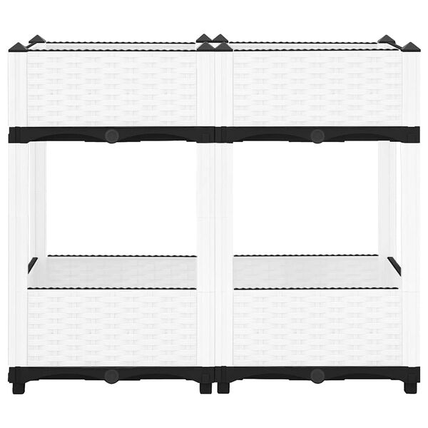 Se afișează imaginea 3 din 8