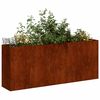 vidaXL Jardinieră Rusty 200x40x80 cm Oțel pentru intemperii