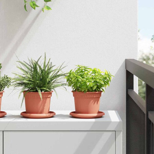 Se afișează imaginea 2 din 12