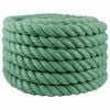 vidaXL Fr&acirc;nghie din Jute Verde 100% jute Tossa