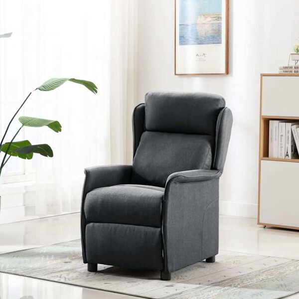 vidaXL Fotoliu recliner Gri &icirc;nchis 66.5 x 94 x 101.5 cm Poliester