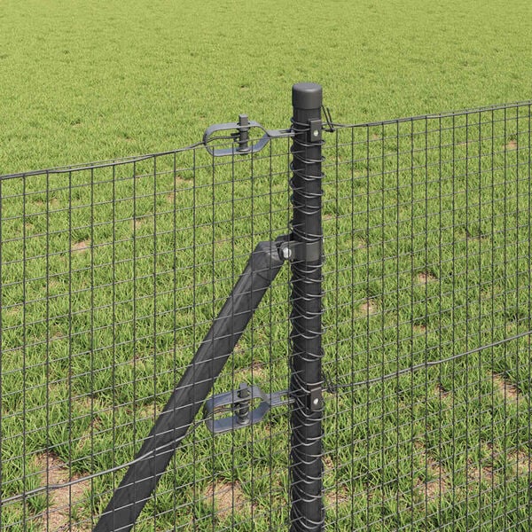 Se afișează imaginea 4 din 15