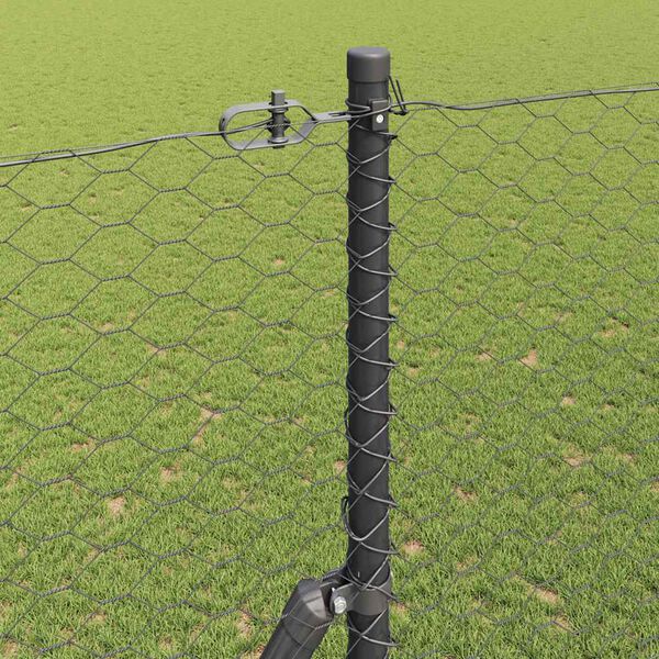 Se afișează imaginea 4 din 15