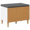 vidaXL Bancă pentru hol cu pernă cu depozitare Alb 60 x 38 x 46 cm