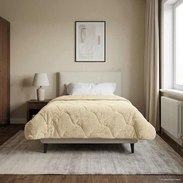 Se afișează imaginea 2 din 10