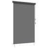 vidaXL Rulou textil Gri deschis 120 x 250 cm Țesătură și Aluminiu