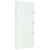 vidaXL Panouri laterale pentru copertine ușă 2 buc. transparent sticlă