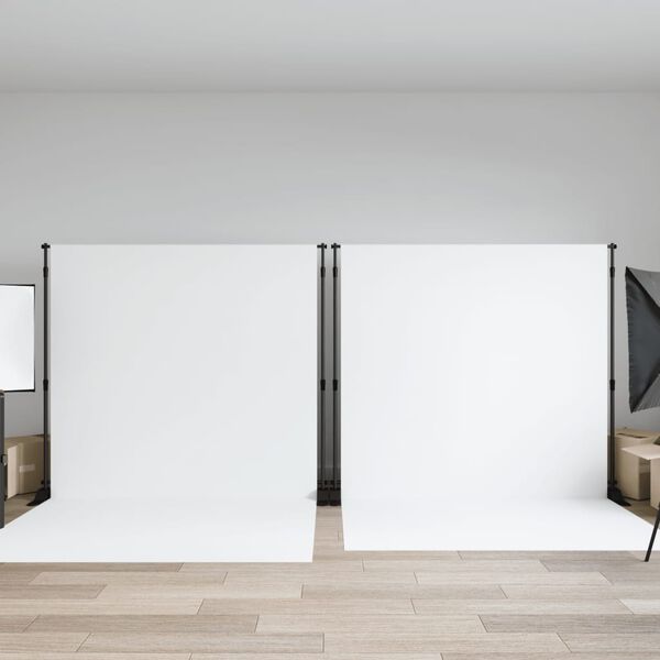 vidaXL Suporturi pentru fundal, 2 buc., negru, 305x243 cm, oțel