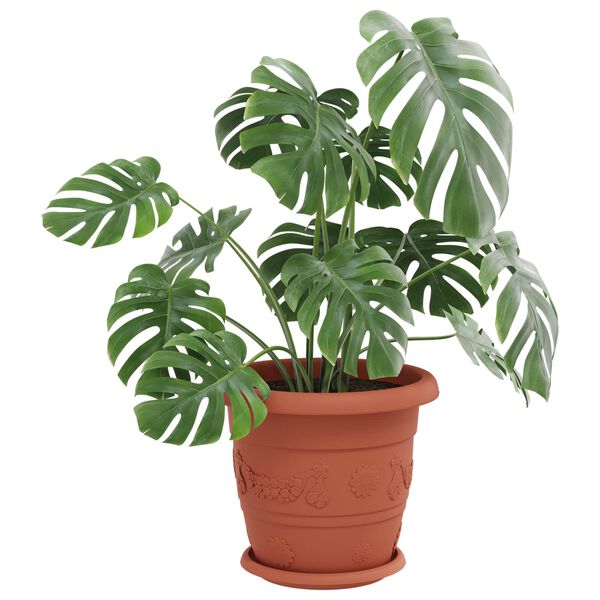 vidaXL Ghivece pentru plante 6 pcs Roșu cărămidă &Oslash; 26 x 21.5 cm