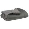 vidaXL Duvet complet pe tot parcursul anului Gri deschis 135 x 200 cm