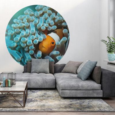 WallArt Tapet în formă de cerc „Nemo the Anemonefish”, 142,5 cm