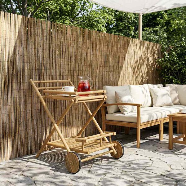 Se afișează imaginea 2 din 8