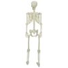 vidaXL Schelet de Halloween Alb 155 x 38.5 cm Plastic