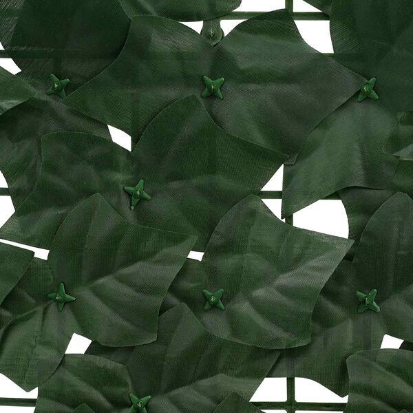 Se afișează imaginea 4 din 6