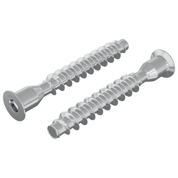 vidaXL Șuruburi confirmat 2 pcs Argintiu &Oslash;7 x 50 mm Metal