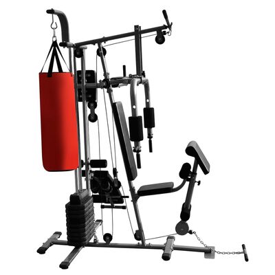 vidaXL Aparat fitness multifuncțional pentru acasă cu 1 sac box, 65 kg