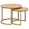 vidaXL Mese de Cafea Nesting 2 buc. Maro 50 x 50 x 40 cm
