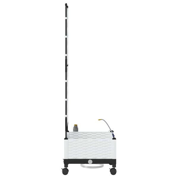 Se afișează imaginea 3 din 7