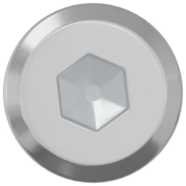 vidaXL Șurub de blocare Simplu 2 pcs Argintiu M6 x 30 mm Oțel