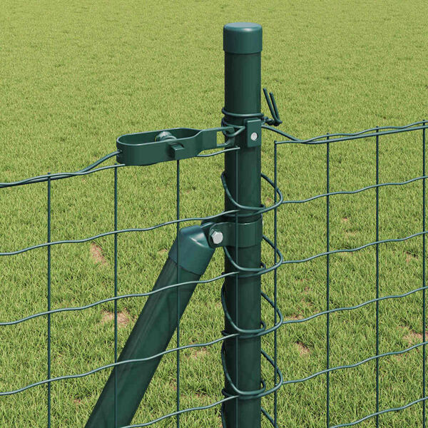 Se afișează imaginea 4 din 11