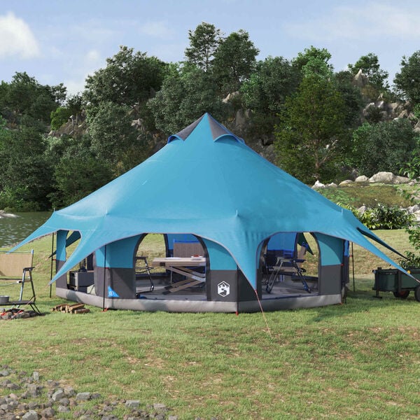 Se afișează imaginea 2 din 13