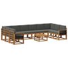 vidaXL Set de canapele de exterior 11 buc. Natural și Antracit