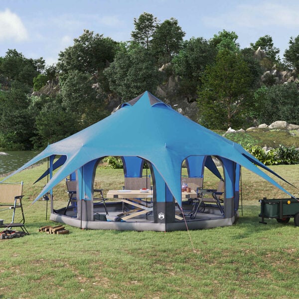 Se afișează imaginea 2 din 13